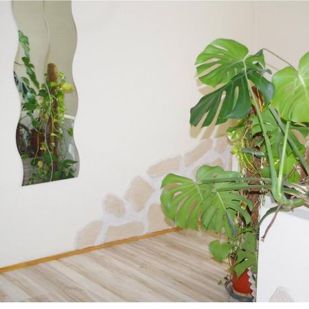 L'Appartement 90M2 Climatise Avignon Eksteriør bilde